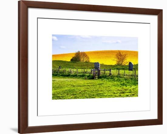 Natural Meadow Landscape and Abstract of Stones - Pewsey - Wiltshire - UK - England-Philippe Hugonnard-Framed Art Print