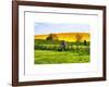 Natural Meadow Landscape and Abstract of Stones - Pewsey - Wiltshire - UK - England-Philippe Hugonnard-Framed Art Print