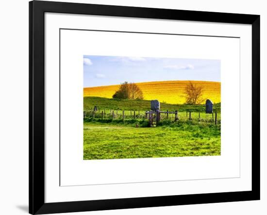 Natural Meadow Landscape and Abstract of Stones - Pewsey - Wiltshire - UK - England-Philippe Hugonnard-Framed Art Print