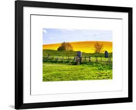 Natural Meadow Landscape and Abstract of Stones - Pewsey - Wiltshire - UK - England-Philippe Hugonnard-Framed Art Print