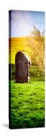 Natural Meadow Landscape with Abstract of Stones - Pewsey - Wiltshire - UK - Door Poster-Philippe Hugonnard-Stretched Canvas