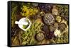 Natural Medicine, Herbs-Sebastian Duda-Framed Stretched Canvas