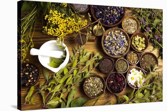 Natural Medicine, Herbs-Sebastian Duda-Stretched Canvas