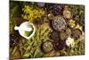 Natural Medicine, Herbs-Sebastian Duda-Mounted Photographic Print