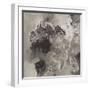 Natural Monotype Dark-Silvia Vassileva-Framed Art Print