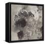 Natural Monotype Dark-Silvia Vassileva-Framed Stretched Canvas