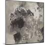 Natural Monotype Dark-Silvia Vassileva-Mounted Art Print