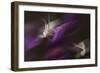 Natural Motif IV-Gordon Semmens-Framed Giclee Print