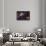 Natural Motif IV-Gordon Semmens-Premium Giclee Print displayed on a wall