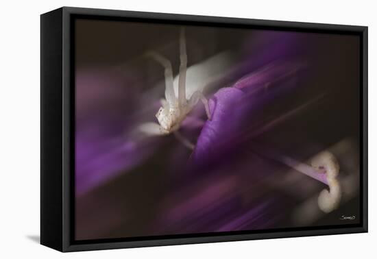 Natural Motif IV-Gordon Semmens-Framed Stretched Canvas