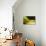 Natural Motif IX-Gordon Semmens-Giclee Print displayed on a wall