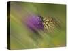 Natural Motif V-Gordon Semmens-Stretched Canvas