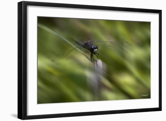 Natural Motif VI-Gordon Semmens-Framed Giclee Print