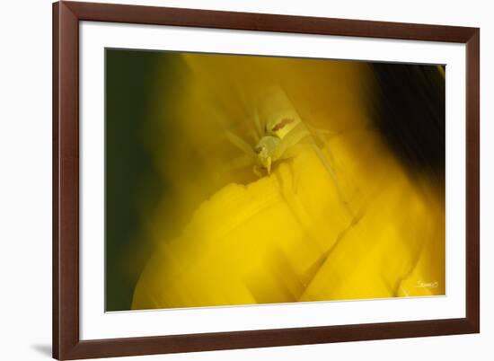 Natural Motif VII-Gordon Semmens-Framed Giclee Print