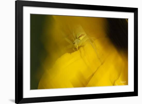 Natural Motif VII-Gordon Semmens-Framed Giclee Print