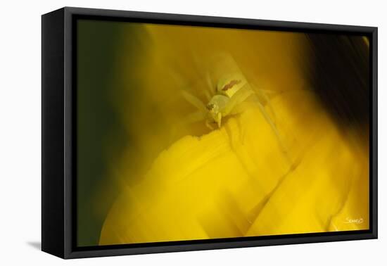 Natural Motif VII-Gordon Semmens-Framed Stretched Canvas