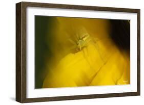 Natural Motif VII-Gordon Semmens-Framed Giclee Print