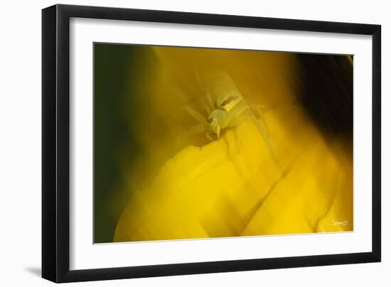 Natural Motif VII-Gordon Semmens-Framed Giclee Print