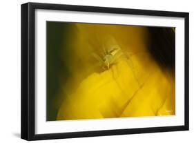 Natural Motif VII-Gordon Semmens-Framed Giclee Print