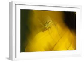 Natural Motif VII-Gordon Semmens-Framed Giclee Print