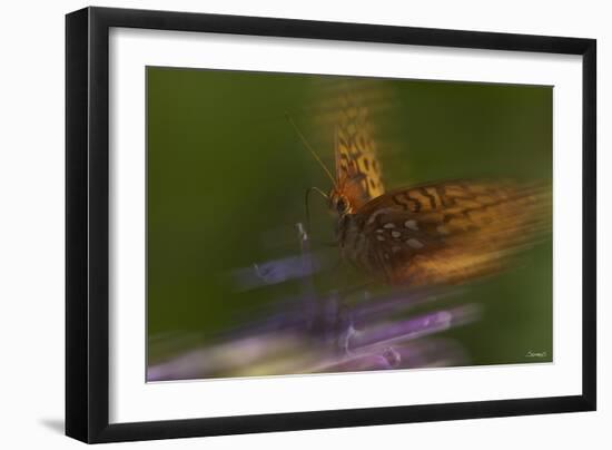 Natural Motif VIII-Gordon Semmens-Framed Giclee Print