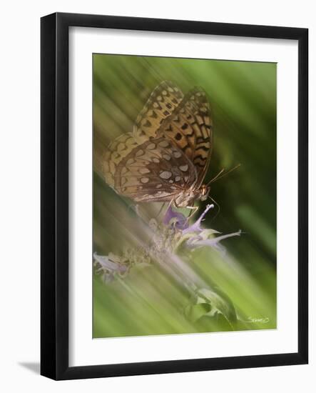 Natural Motif XI-Gordon Semmens-Framed Giclee Print