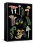 Natural Mushroom Beauties II-Regina Moore-Framed Stretched Canvas