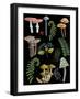 Natural Mushroom Beauties II-Regina Moore-Framed Art Print