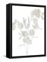 Natural Nature III-Danielle Carson-Framed Stretched Canvas