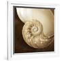 Natural Nautilus-Marlana Semenza-Framed Art Print