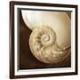 Natural Nautilus-Marlana Semenza-Framed Art Print