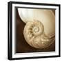 Natural Nautilus-Marlana Semenza-Framed Art Print