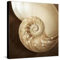 Natural Nautilus-Marlana Semenza-Stretched Canvas