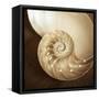 Natural Nautilus-Marlana Semenza-Framed Stretched Canvas