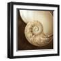 Natural Nautilus-Marlana Semenza-Framed Art Print