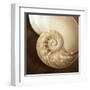 Natural Nautilus-Marlana Semenza-Framed Art Print