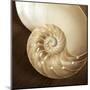 Natural Nautilus-Marlana Semenza-Mounted Art Print