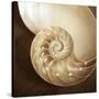 Natural Nautilus-Marlana Semenza-Stretched Canvas