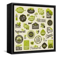 Natural Organic Product Labels, Emblems and Badges. Set of Vector Design Elements-ussr-Framed Stretched Canvas