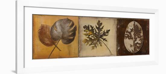 Natural Panel I-Patricia Pinto-Framed Art Print