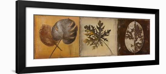 Natural Panel I-Patricia Pinto-Framed Art Print