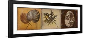 Natural Panel I-Patricia Pinto-Framed Art Print