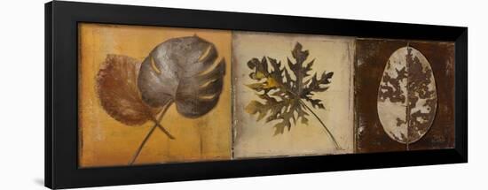 Natural Panel I-Patricia Pinto-Framed Art Print