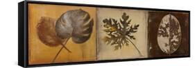 Natural Panel I-Patricia Pinto-Framed Stretched Canvas