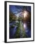 Natural Path Between Two Streams of River at Sunset, Ritsa Nature Reserve-null-Framed Photographic Print