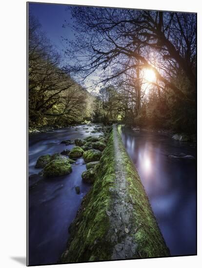 Natural Path Between Two Streams of River at Sunset, Ritsa Nature Reserve-null-Mounted Photographic Print