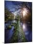 Natural Path Between Two Streams of River at Sunset, Ritsa Nature Reserve-null-Mounted Photographic Print