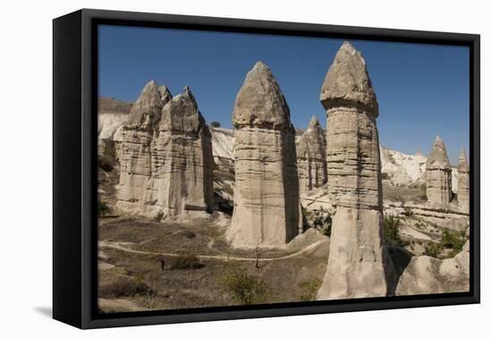 Natural Pinnacles in Volcanic Ash, Zemi Valley, Goreme, Cappadocia, Anatolia, Turkey Minor, Eurasia-Tony Waltham-Framed Stretched Canvas