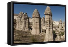 Natural Pinnacles in Volcanic Ash, Zemi Valley, Goreme, Cappadocia, Anatolia, Turkey Minor, Eurasia-Tony Waltham-Framed Stretched Canvas