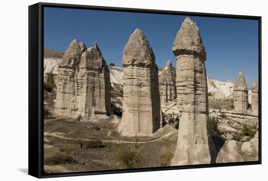 Natural Pinnacles in Volcanic Ash, Zemi Valley, Goreme, Cappadocia, Anatolia, Turkey Minor, Eurasia-Tony Waltham-Framed Stretched Canvas